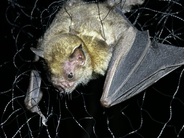 b4660375-c73f-4e56-8a90-a5116612b4a2